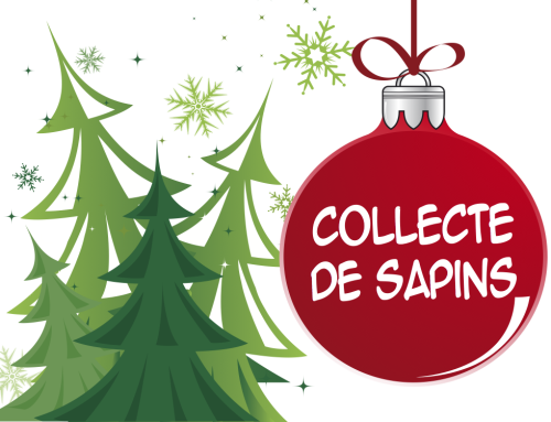 COLLECTE DES SAPINS DE NOËL