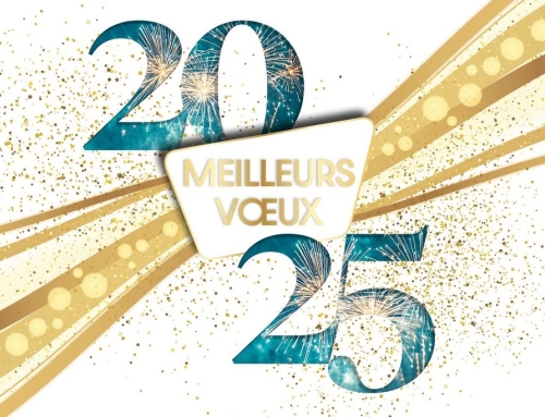 BONNE ANNÉE 2025 !!!