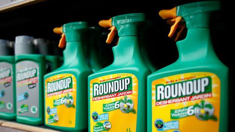 monsanto-s-roundup-weedkiller-atomizers-are-displayed-for-sale-at-a-garden-shop-at-bonneuil-sur-marne-near-paris_5945720