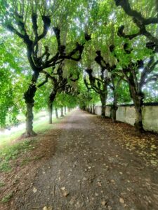 Promenade