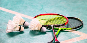 LOGO BADMINTON