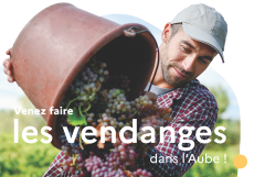 VENDANGES 2025