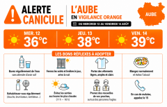 VIGILEANCE CANICULE ORANGE
